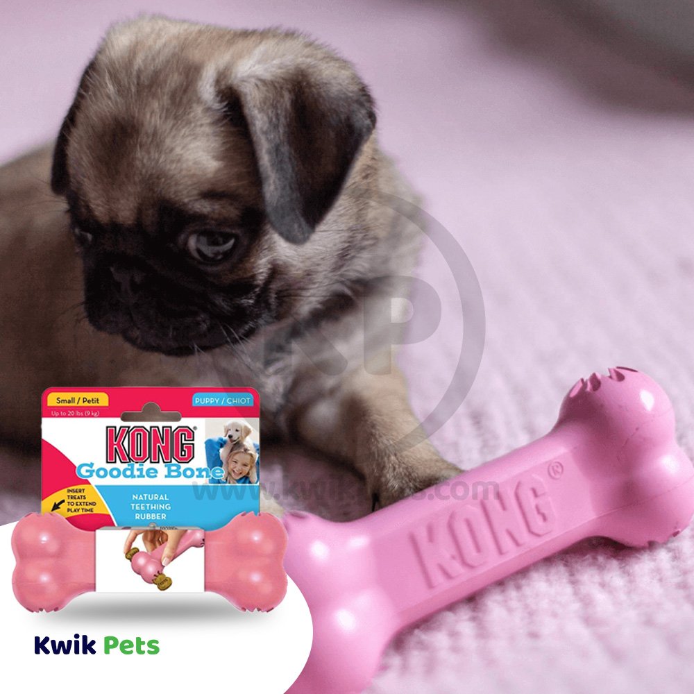 KONG Goodie Bone Puppy Toy Assorted Small