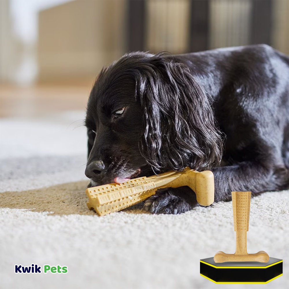 Spot Bam-Bones Plus Dog Chew Toy Chicken Medium 6-in