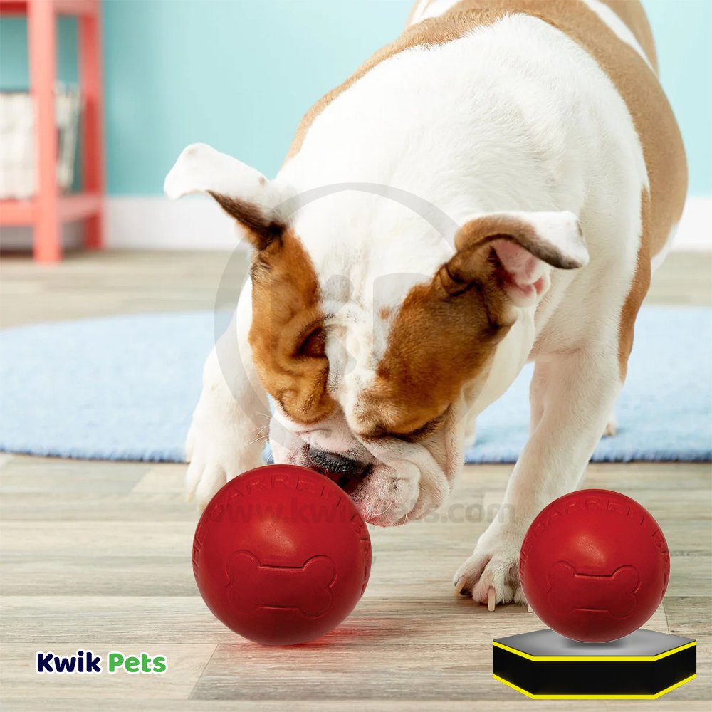 Spot The Barrett Ball Dog Toy Red Small 2.5-in