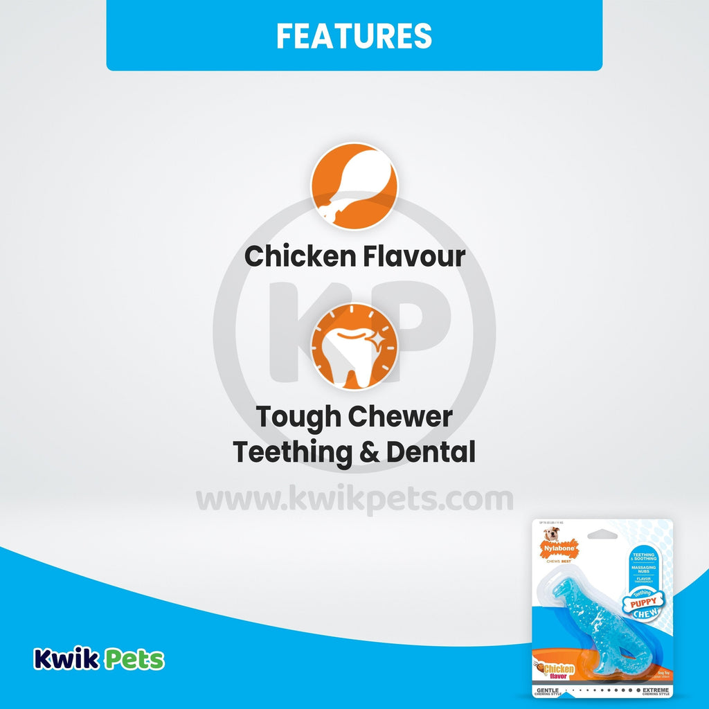 Nylabone Puppy Chew Dental Dinosaur Toy for Teething Chicken Flavor Small/Regular - Up To 25 Ibs