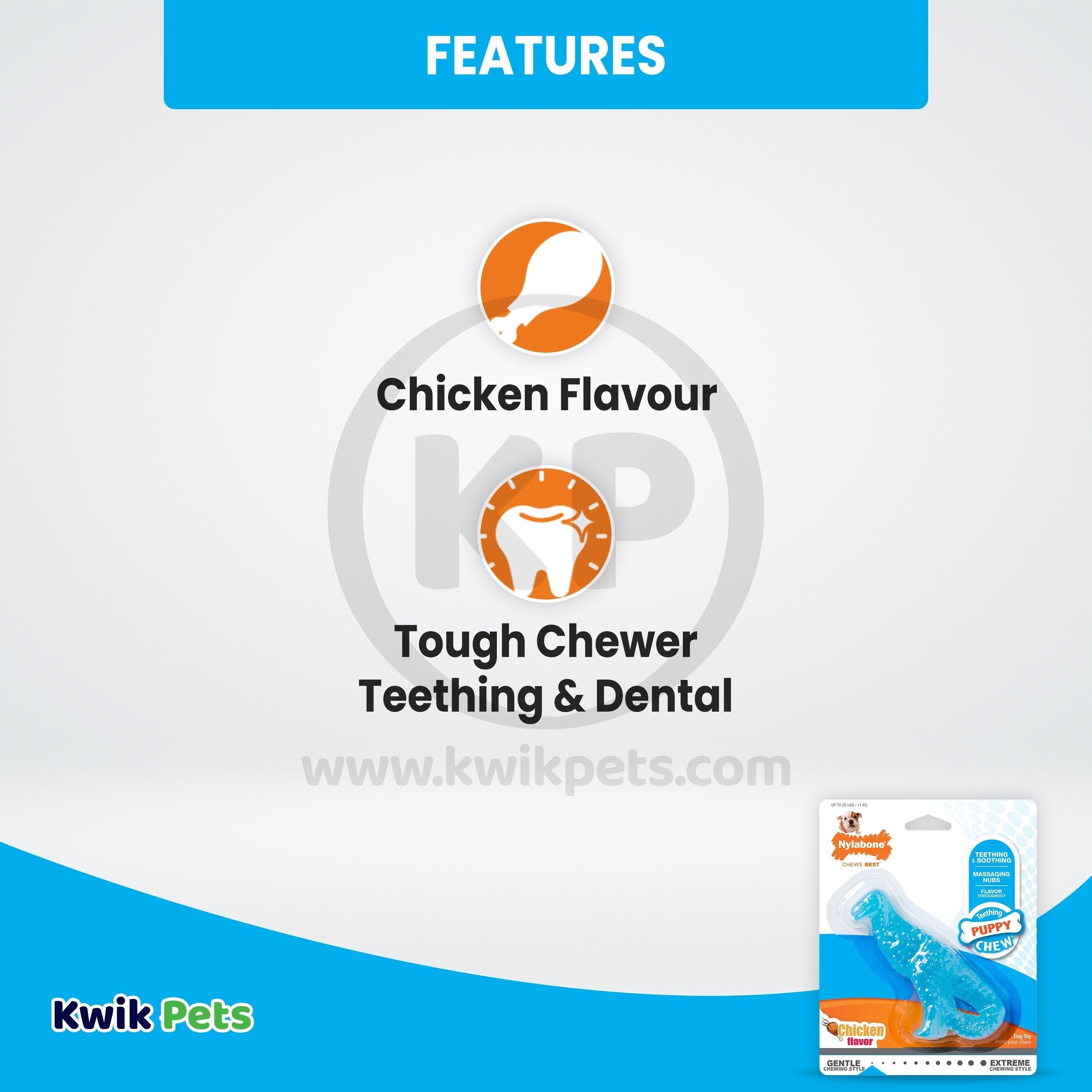 Nylabone Puppy Chew Dental Dinosaur Toy for Teething Chicken Flavor Small/Regular - Up To 25 Ibs