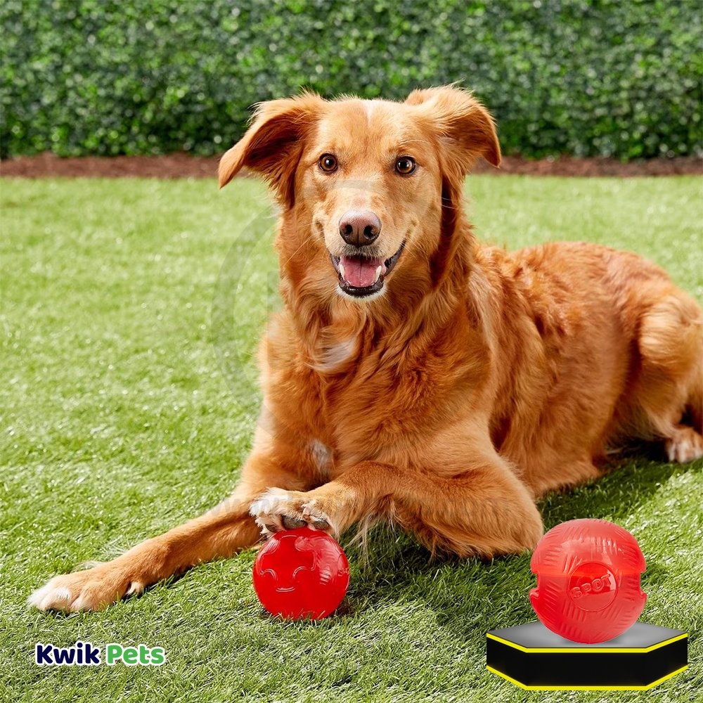 Spot Play Strong Ball Dog Toy Medium 3.25-in