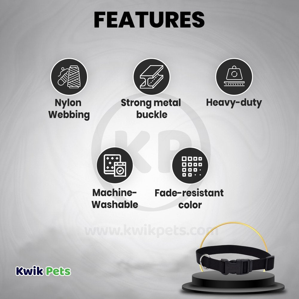 Coastal Adjustable Nylon Dog Collar with Plastic Buckle Bright Pink 1 in X 18-26 in