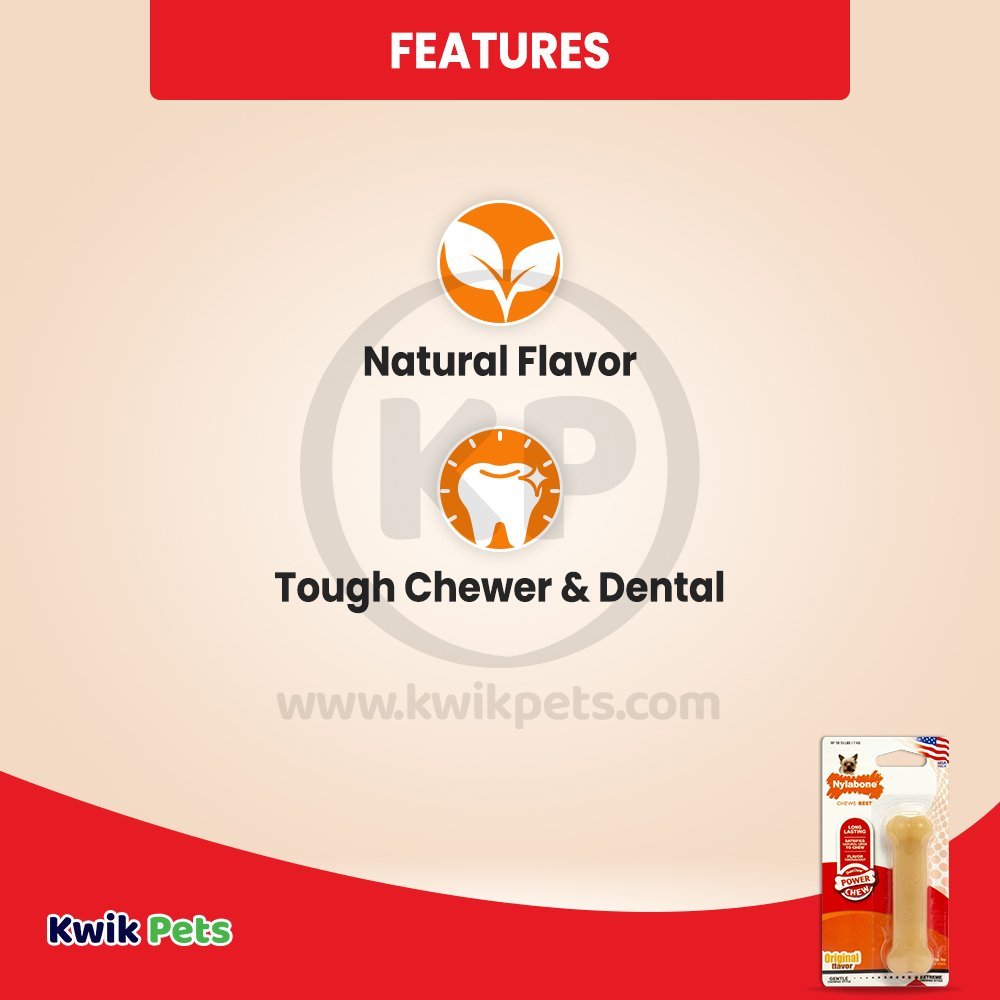 Nylabone Power Chew Dog Toy Original XS/Petite - Up To 15 lbs