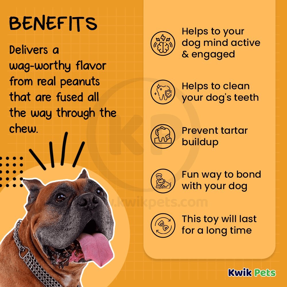 Benebone Wishbone Dog Chew Toy Peanut Butter Large