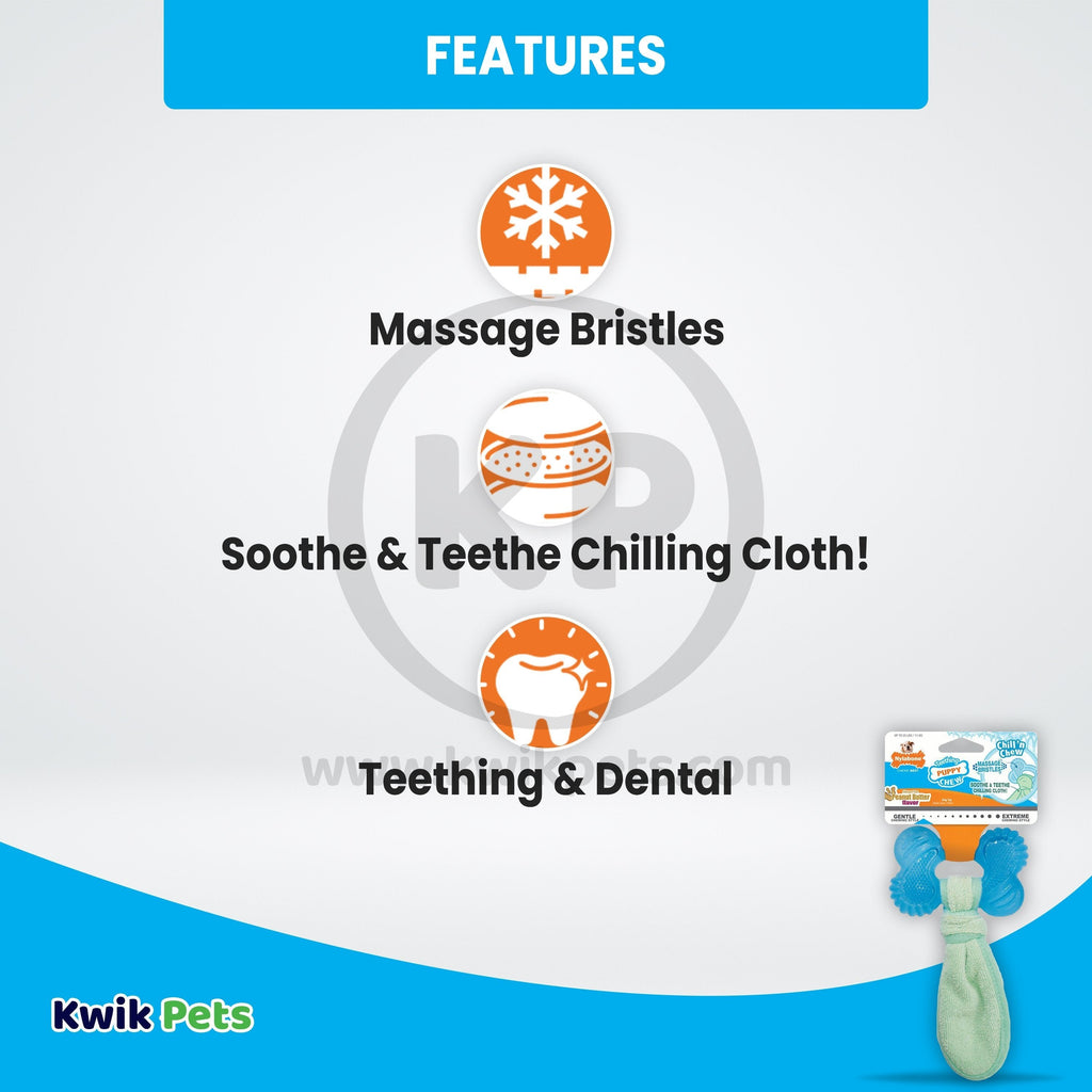 Nylabone Freezer Puppy Chew Toy for Teething Peanut Butter Small/Regular - Up To 25 Ibs