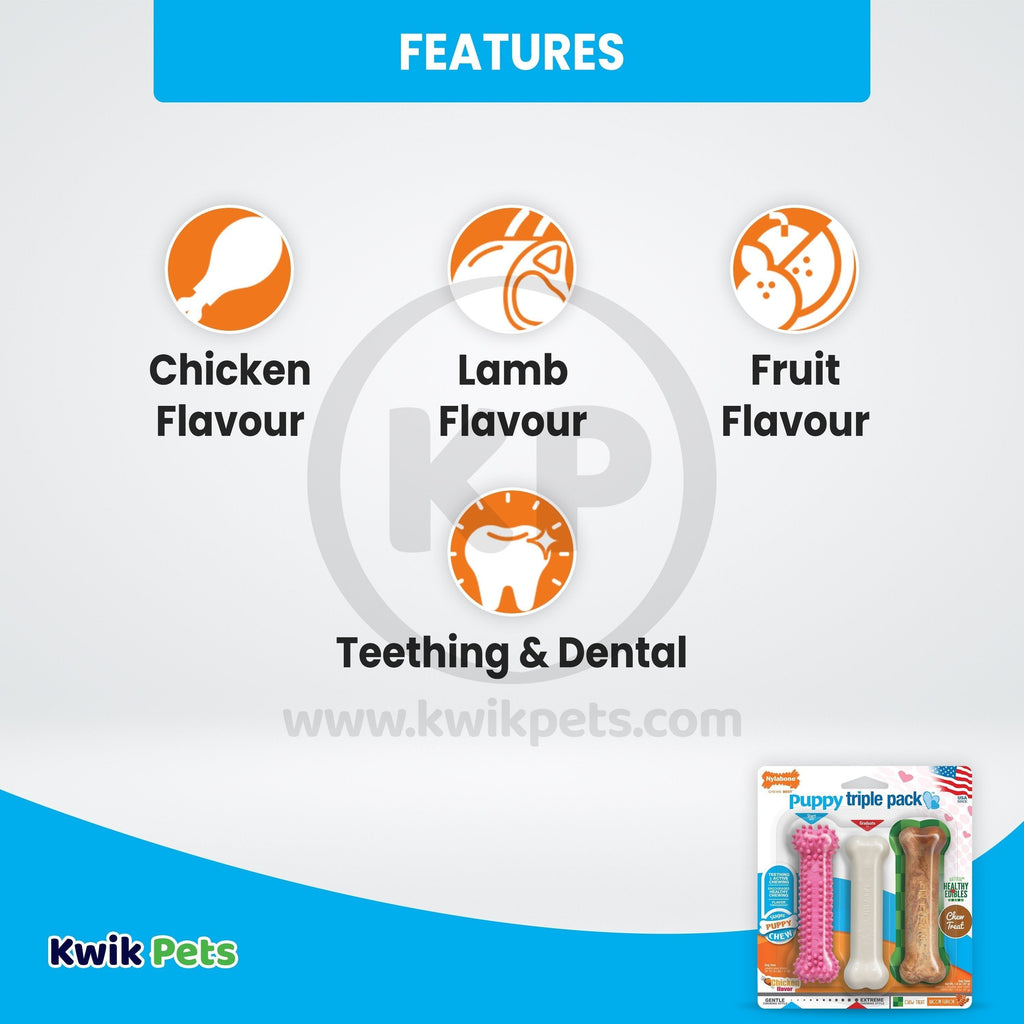 Nylabone Puppy Chew Toy & Treat Variety Triple Pack Chicken & Lamb Starter Kit Small/Regular - Up To 25 Ibs 3 Count