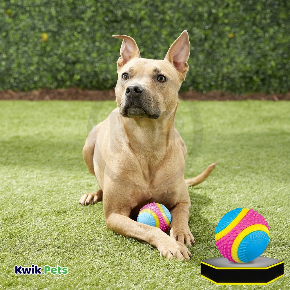 Spot Sensory Ball Dog Toy Assorted Medium 3.25-in
