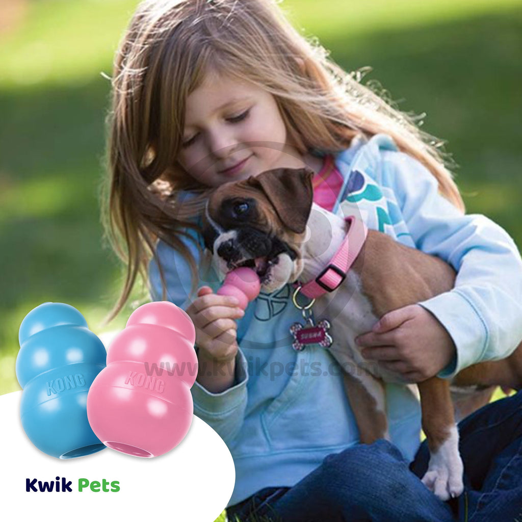 KONG Puppy Toy Assorted  XS