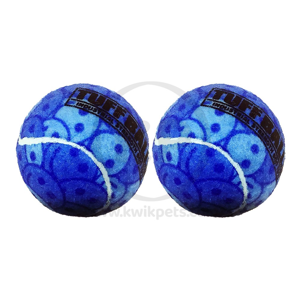 Petsport USA Tuff Ball Dog Toy Blue 2 Count 2.5-in