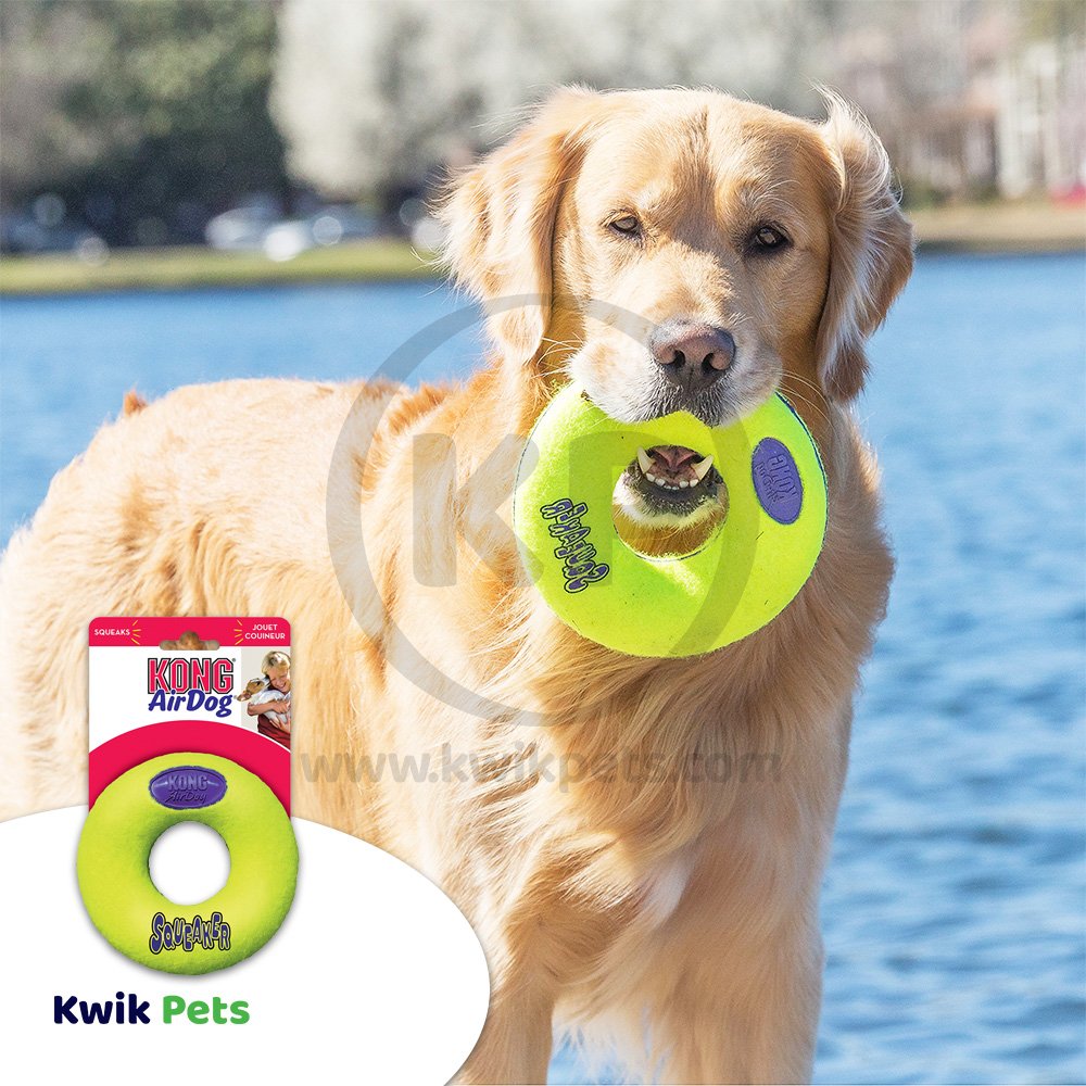 KONG Air Dog Squeaker Donut Dog Toy Medium