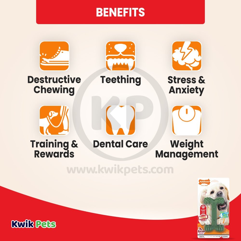 Nylabone Power Chew Easy-Hold Dental Dog Toy Bacon Large/Giant - Up To 50 lbs