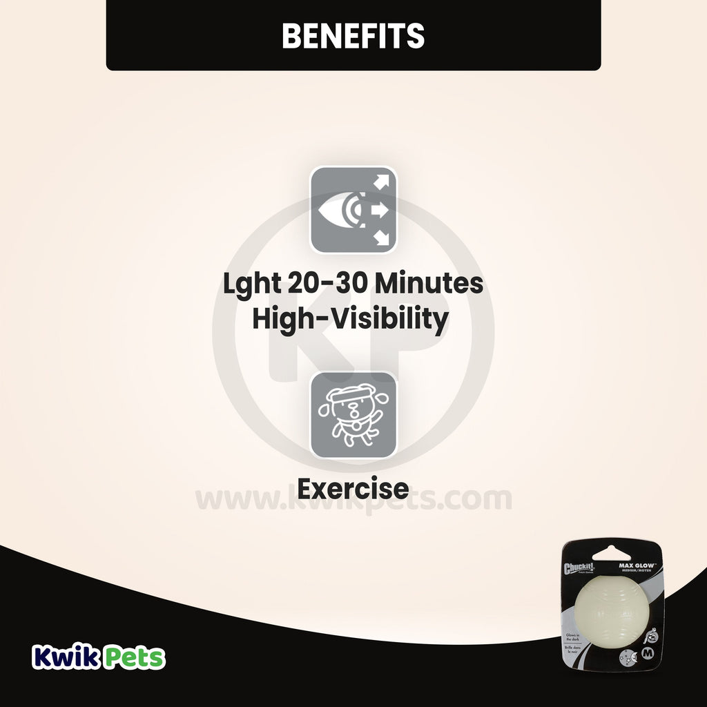 Chuckit! Max Glow Ball Dog Toy Medium