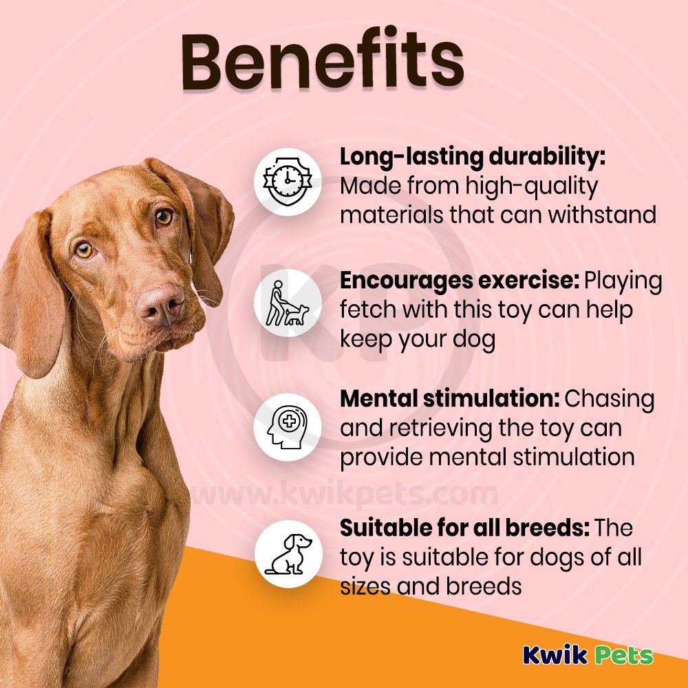 Nina Ottosson Casino Interactive Dog Toy Blue Large