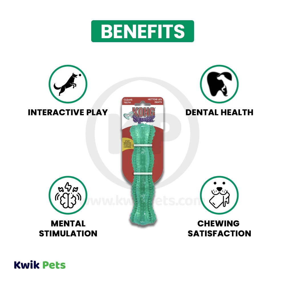 KONG Dental Squeezz Stick Dog Chew Toy Teal Medium