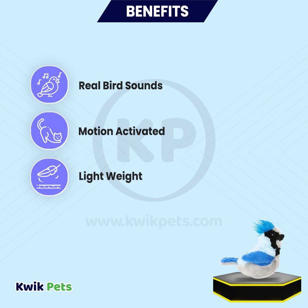 Spot Songbird Cat Toy with Catnip Assorted 5-in