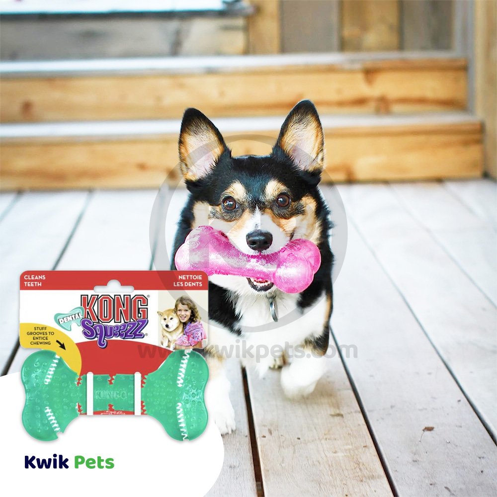 KONG Dental Squeezz Bone Dog Chew Toy Teal Medium