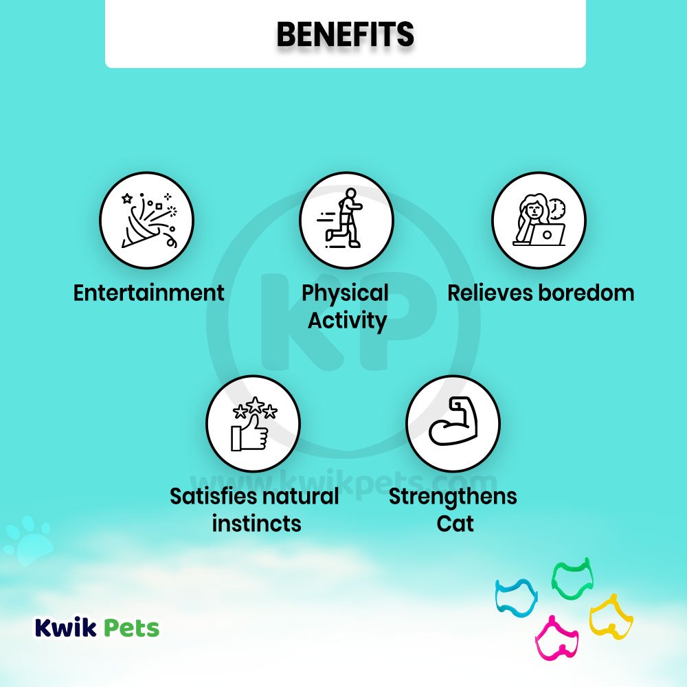 Petmate Cat Crazies Interactive Cat Toys 4 Count