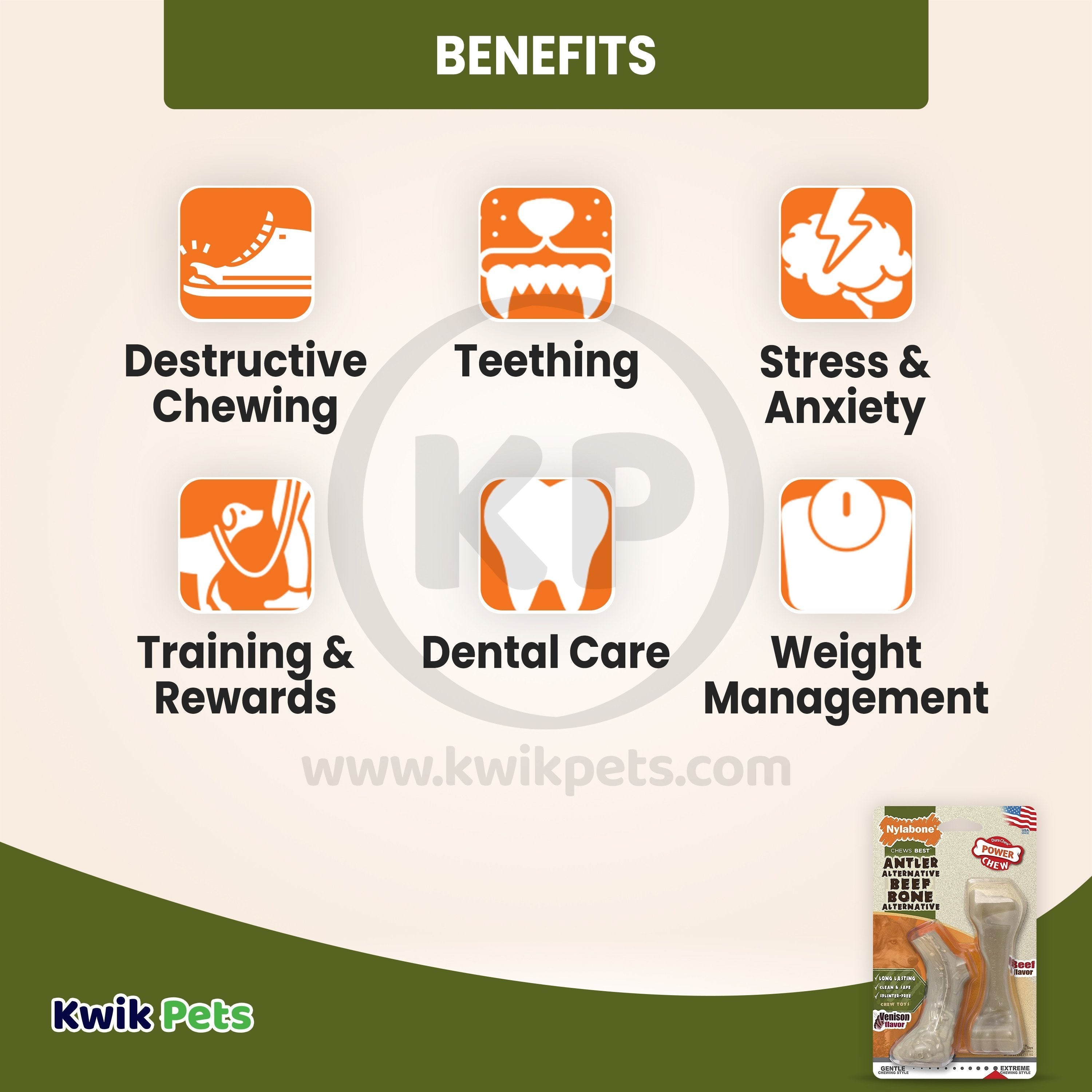 Nylabone Power Chew Venison Antler Alternative & Beef Bone Dog Toy Twin Pack Small/Regular - Up To 25 lbs