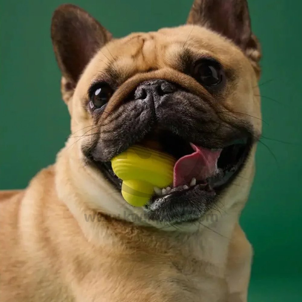 Earth Rated Natural Rubber Dog Fetch Toy Yellow Medium