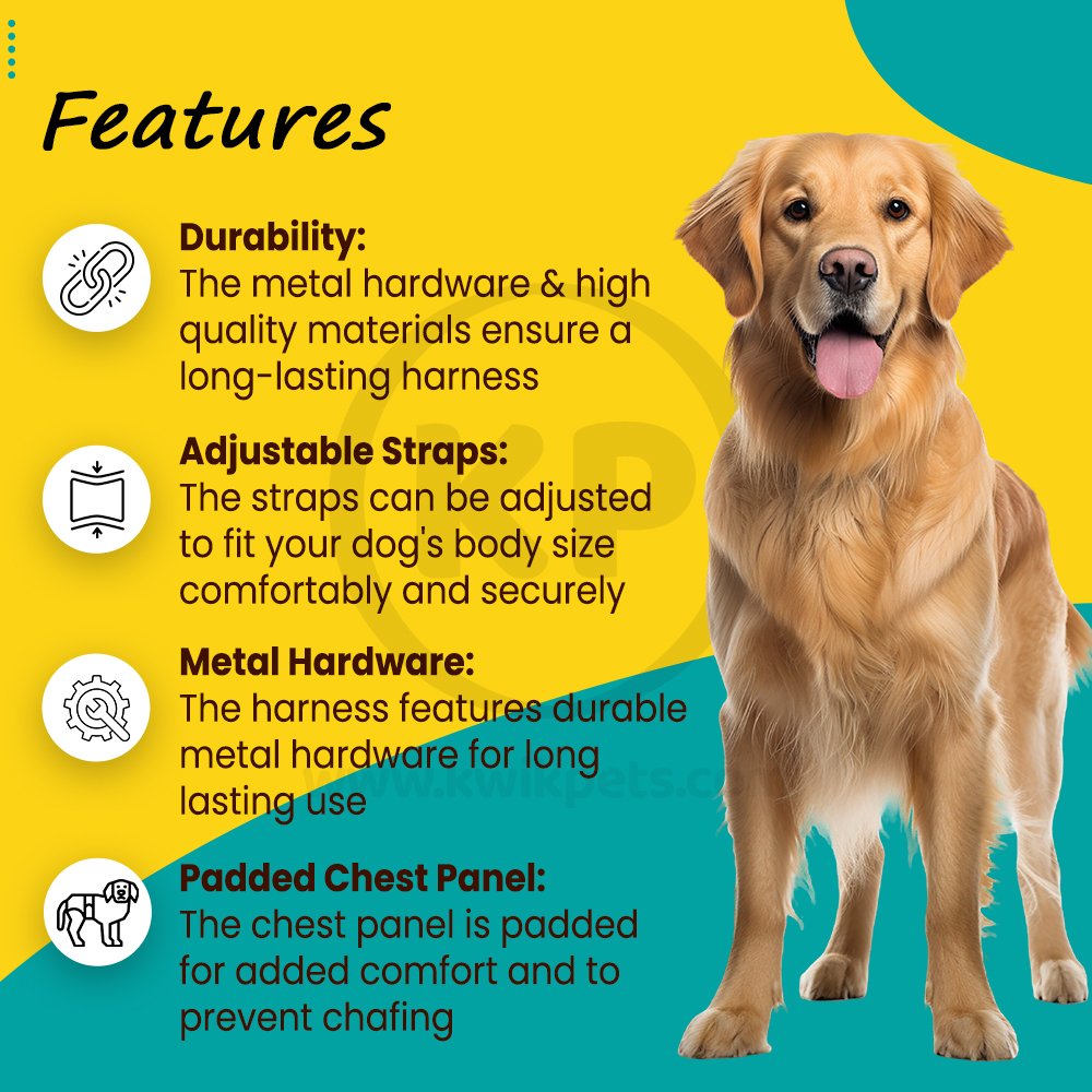 PetSafe 3-in-1 Reflective Dog Harness with Car Control Strap Black Large