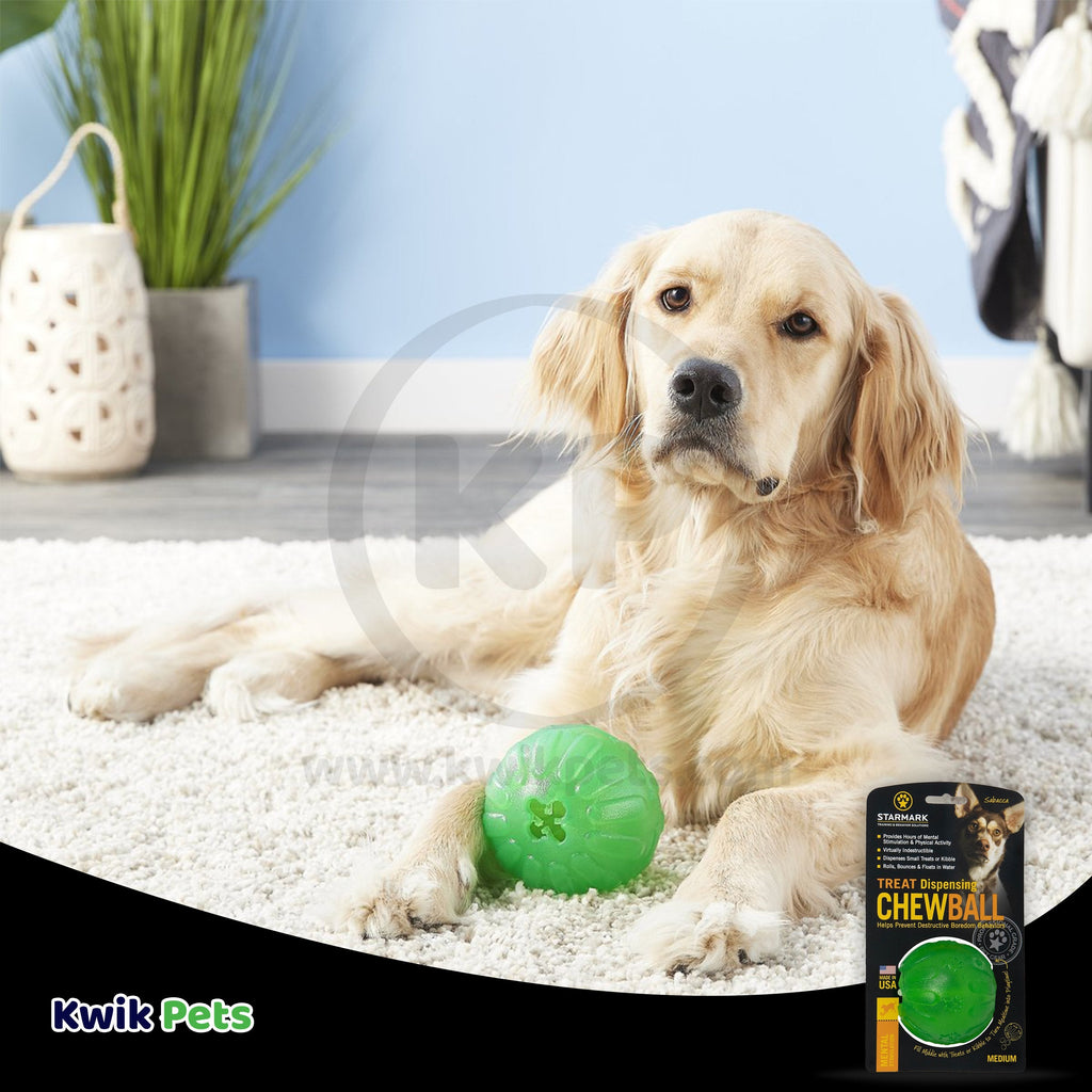 Starmark Fun Ball Dog Toy Green Medium 2.75-in