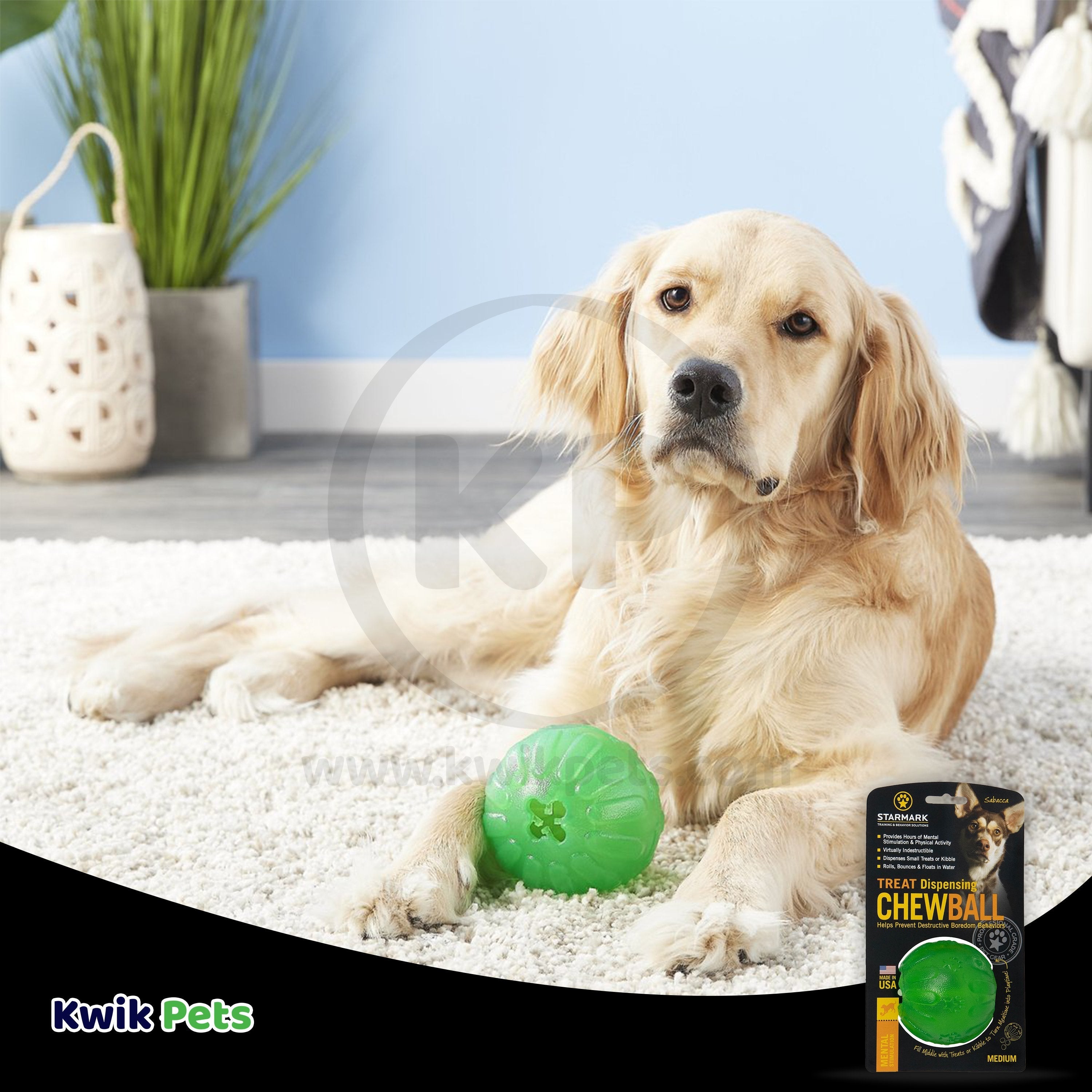 Starmark Fun Ball Dog Toy Green Medium 2.75-in