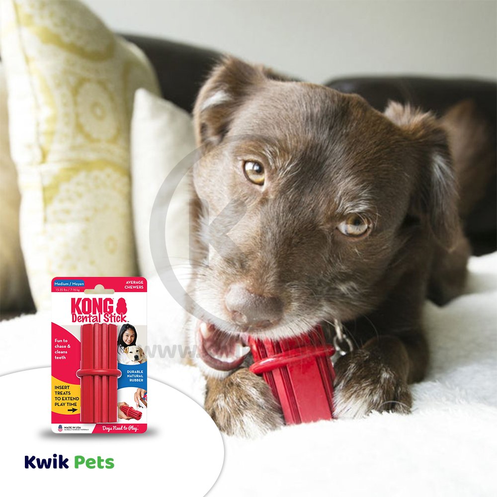 KONG Dental Stick Chew Dog Toy Medium