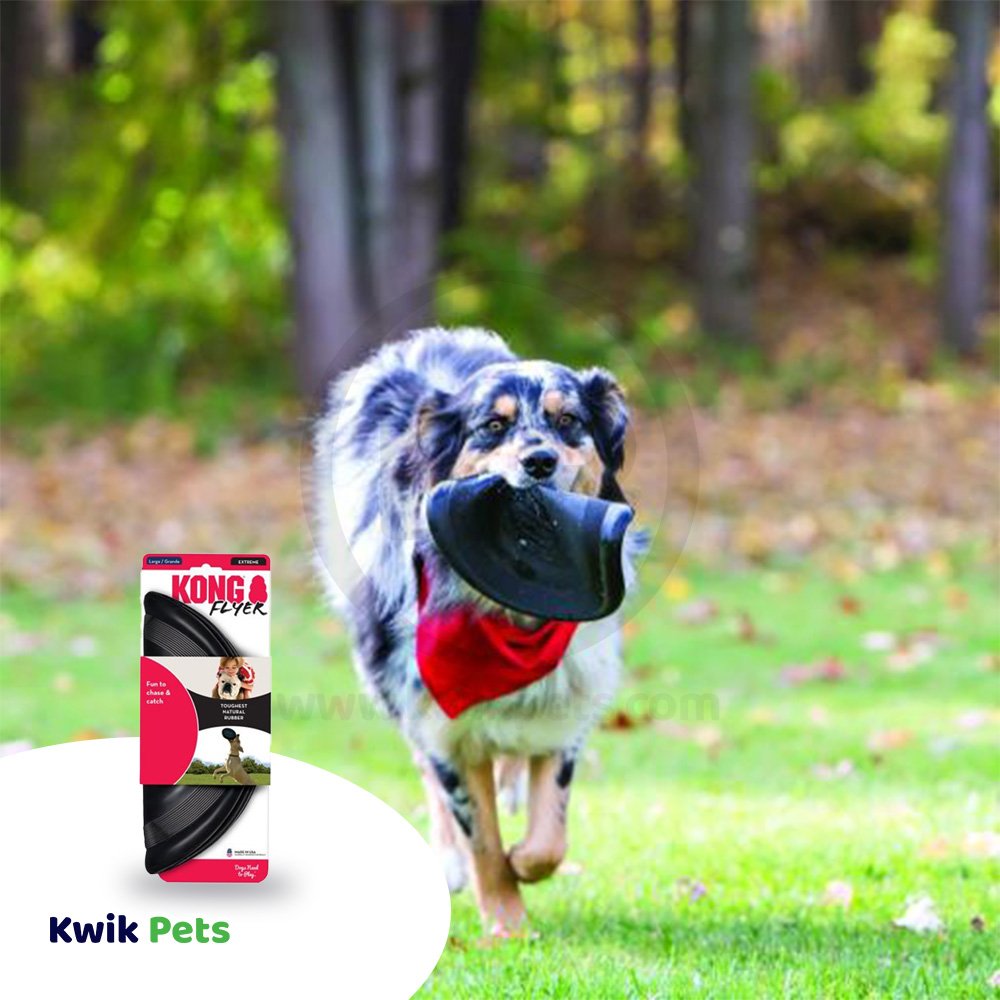 KONG Extreme Flyer Dog Toy Black Large