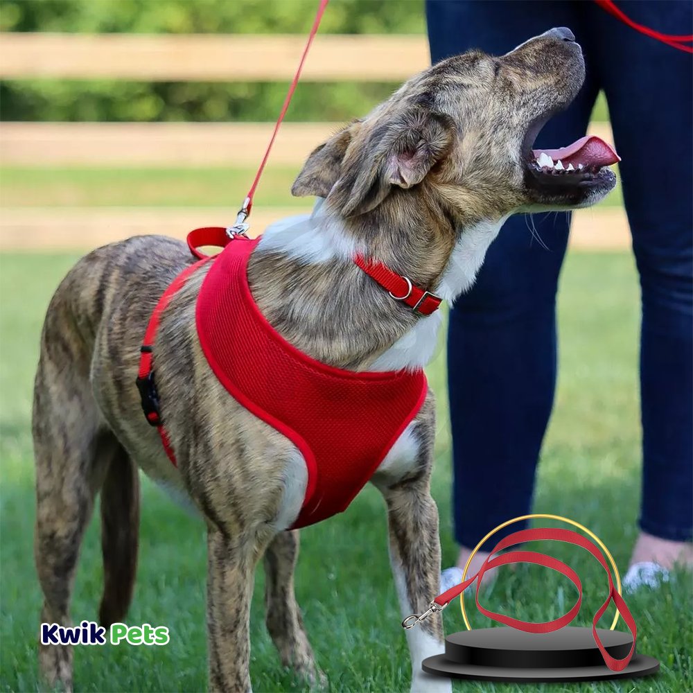 Coastal Single-Ply Nylon Dog Leash Red 5/8 in X 6 ft