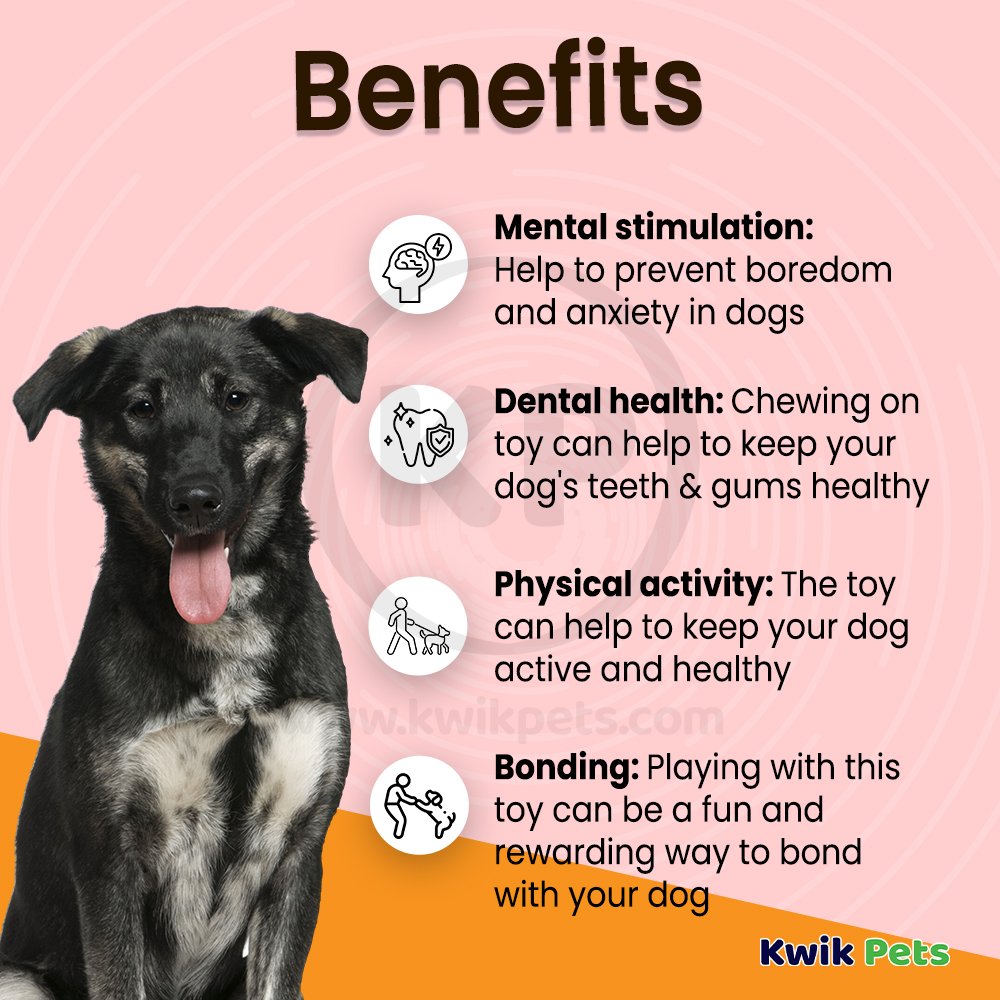 Nina Ottosson Brick Interactive Dog Toy Blue Large