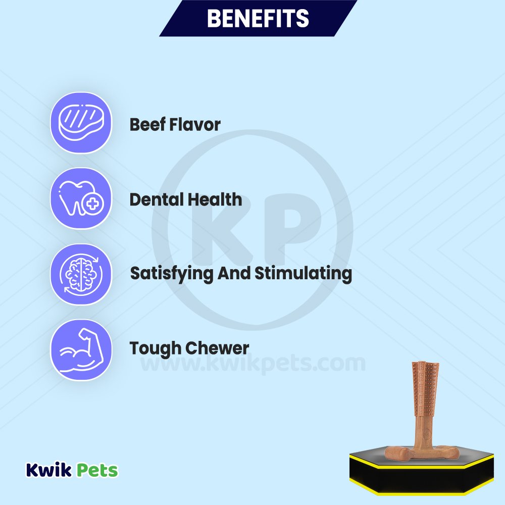 Spot Bam-Bone Plus Dog Chew Beef Small 4-in