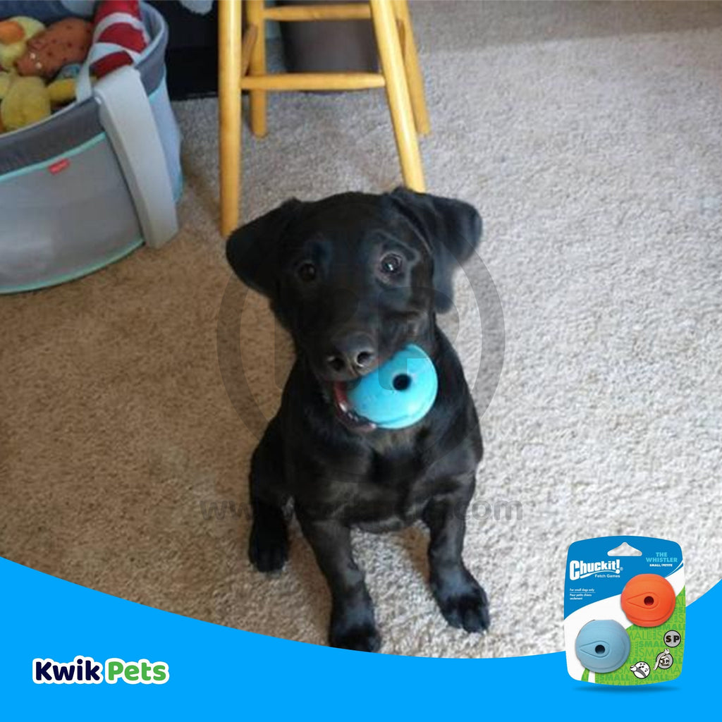 Chuckit! The Whistler Ball Dog Toy Assorted Small 2 Count