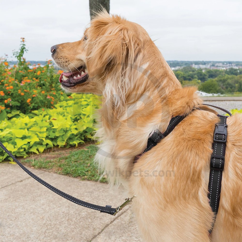 PetSafe 3-in-1 Reflective Dog Harness with Car Control Strap Black Large