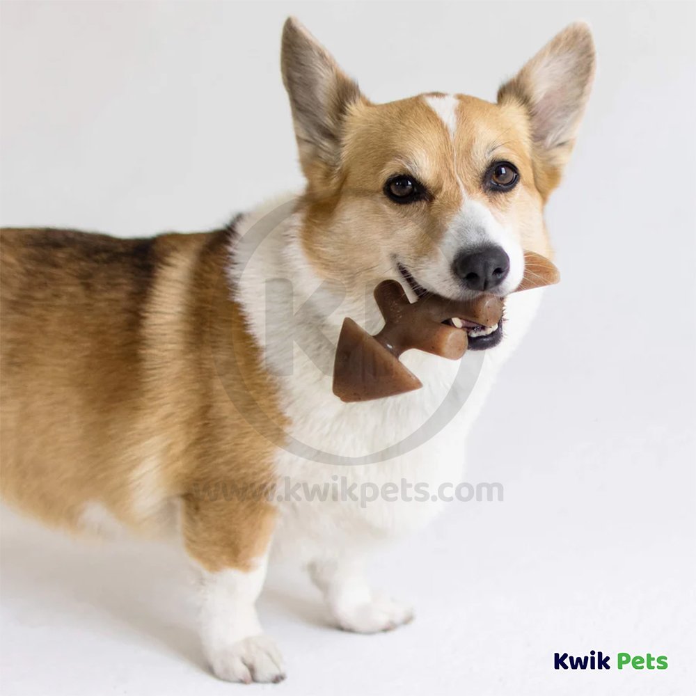 Benebone Jack Salmon Fishbone Dog Chew Toy Small