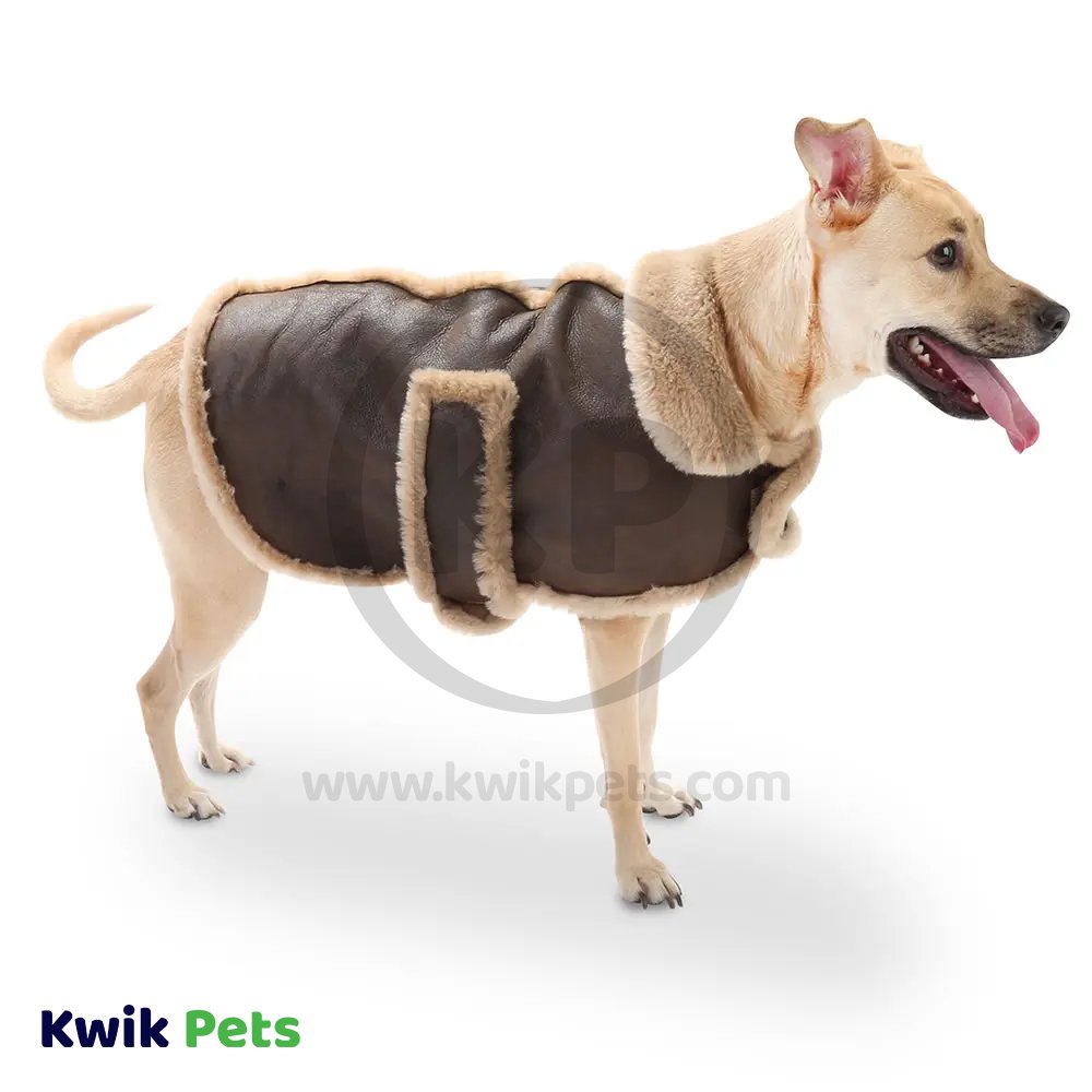 Fashion Pet Bomber Jacket Brown Small
