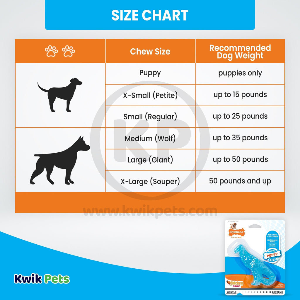 Nylabone Puppy Chew Dental Dinosaur Toy for Teething Chicken Flavor Small/Regular - Up To 25 Ibs