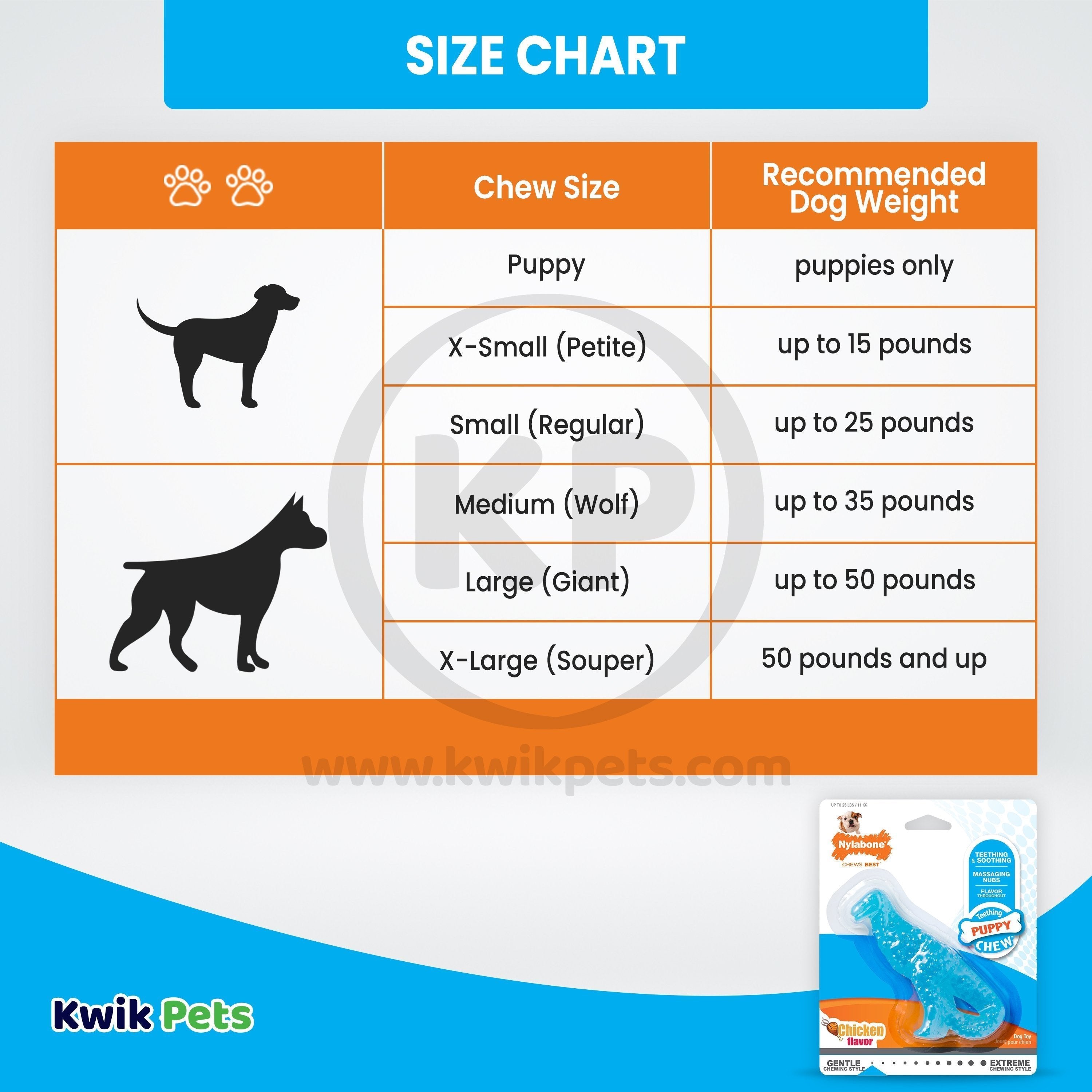 Nylabone Puppy Chew Dental Dinosaur Toy for Teething Chicken Flavor Small/Regular - Up To 25 Ibs