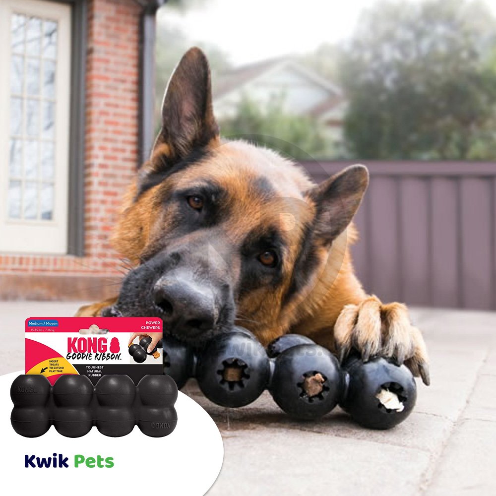 KONG Extreme Goodie Ribbon Dog Toy Medium
