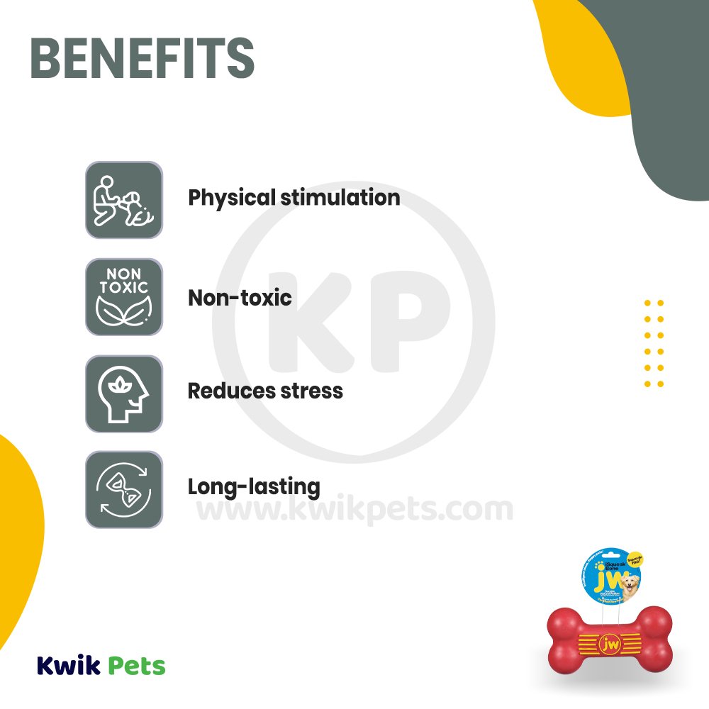 JW Pet iSqueak Bone Dog Toy Assorted Medium