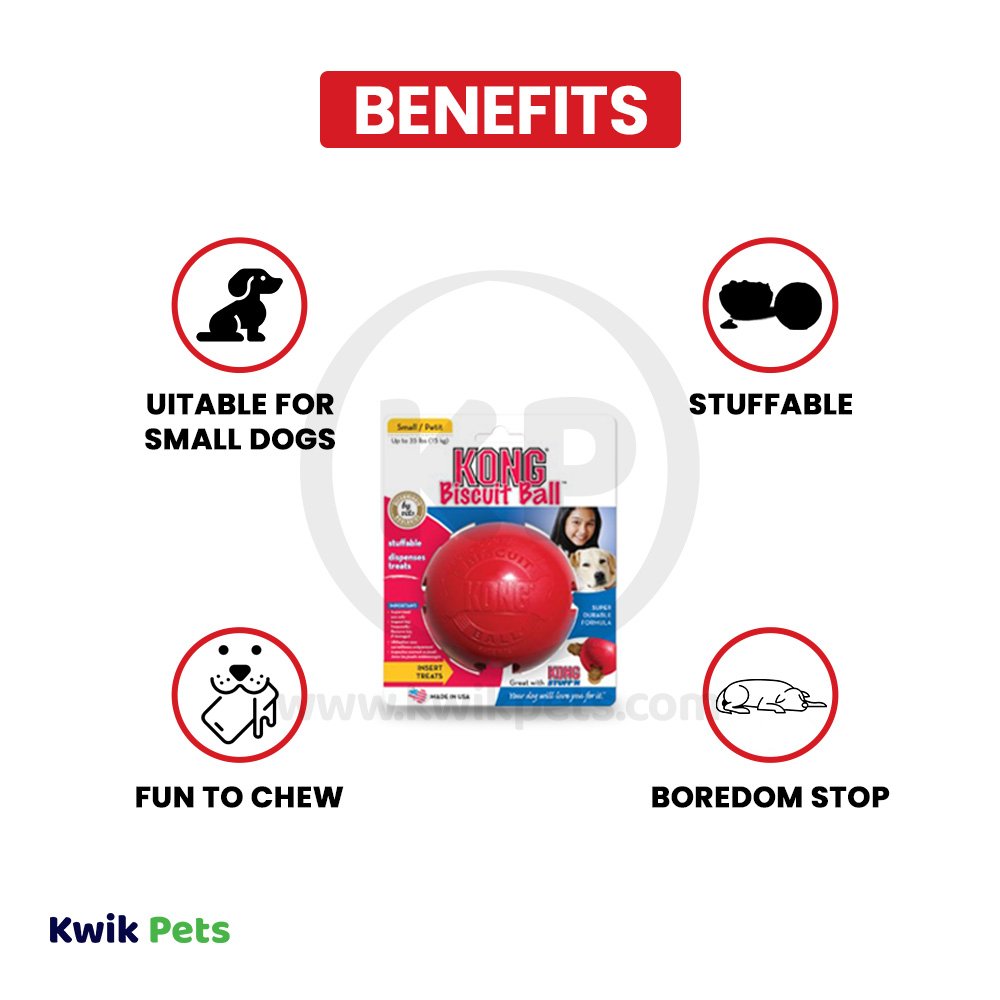 KONG Ball Dog Toy Red Small