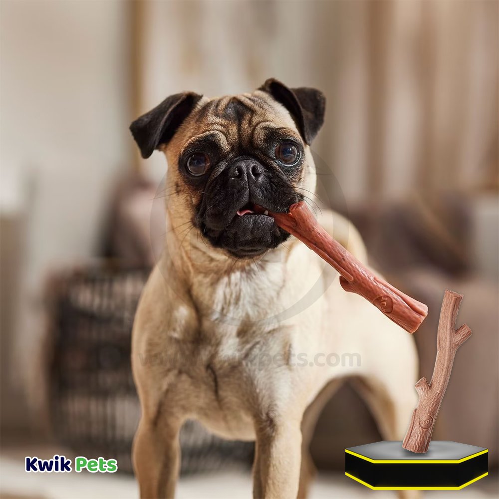 Spot Bam-Bone Plus Branch Beef Dog Toy Medium 5.75in