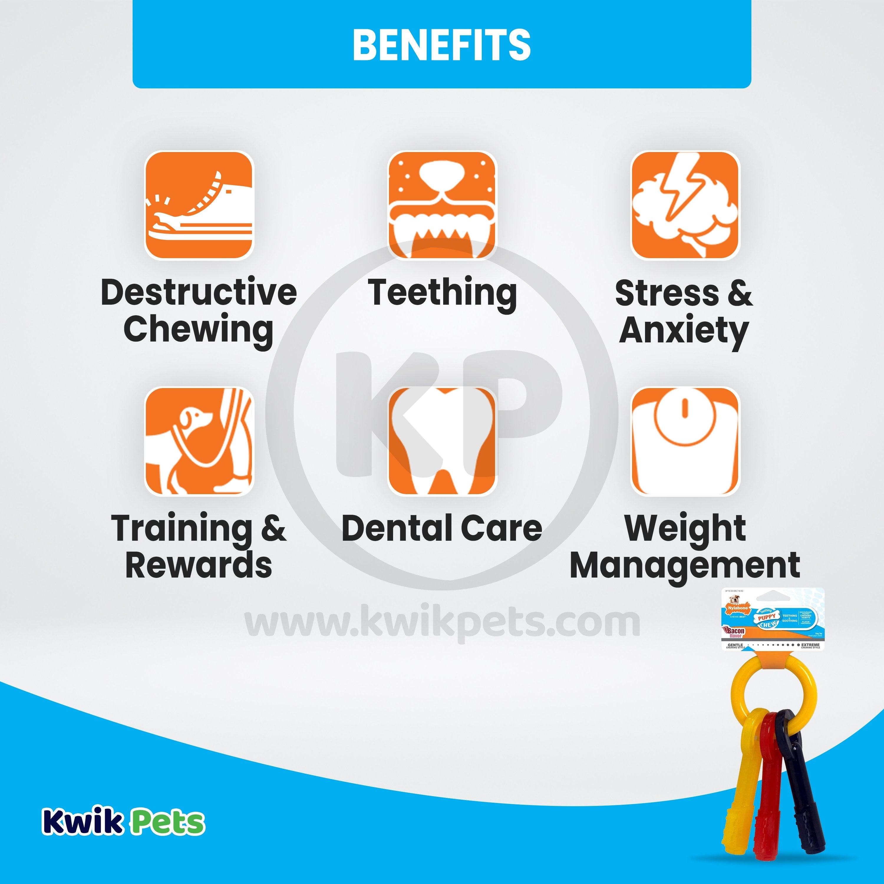 Nylabone Just for Puppies Teething Chew Toy Keys Bacon XS/Petite - Up To 15 lbs