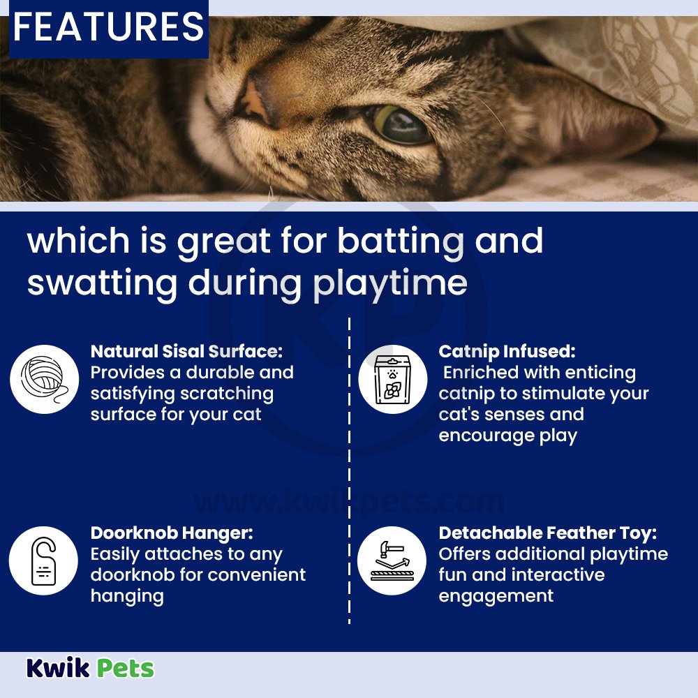 Fat Cat Scratchy Mat Doorknob Hanger Multicolor One Size