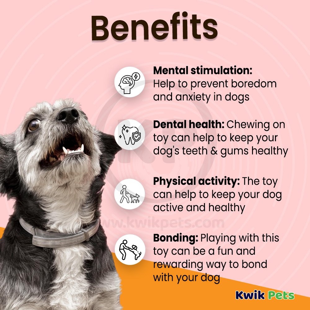 Nina Ottosson Twister Interactive Dog Toy Purple Large 13.25-in