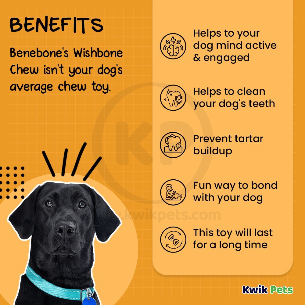 Benebone Wishbone Dog Chew Toy Bacon Medium