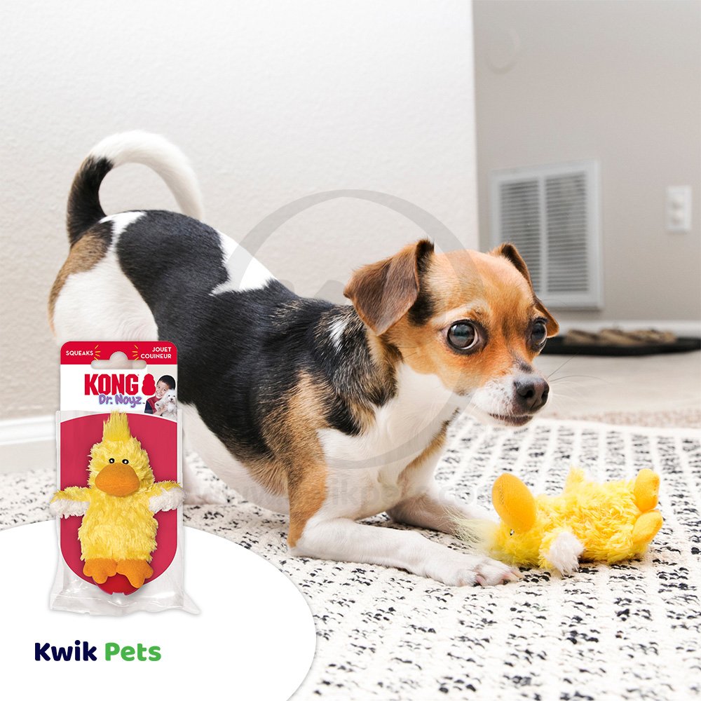 KONG Plush Dog Toy Duck Small