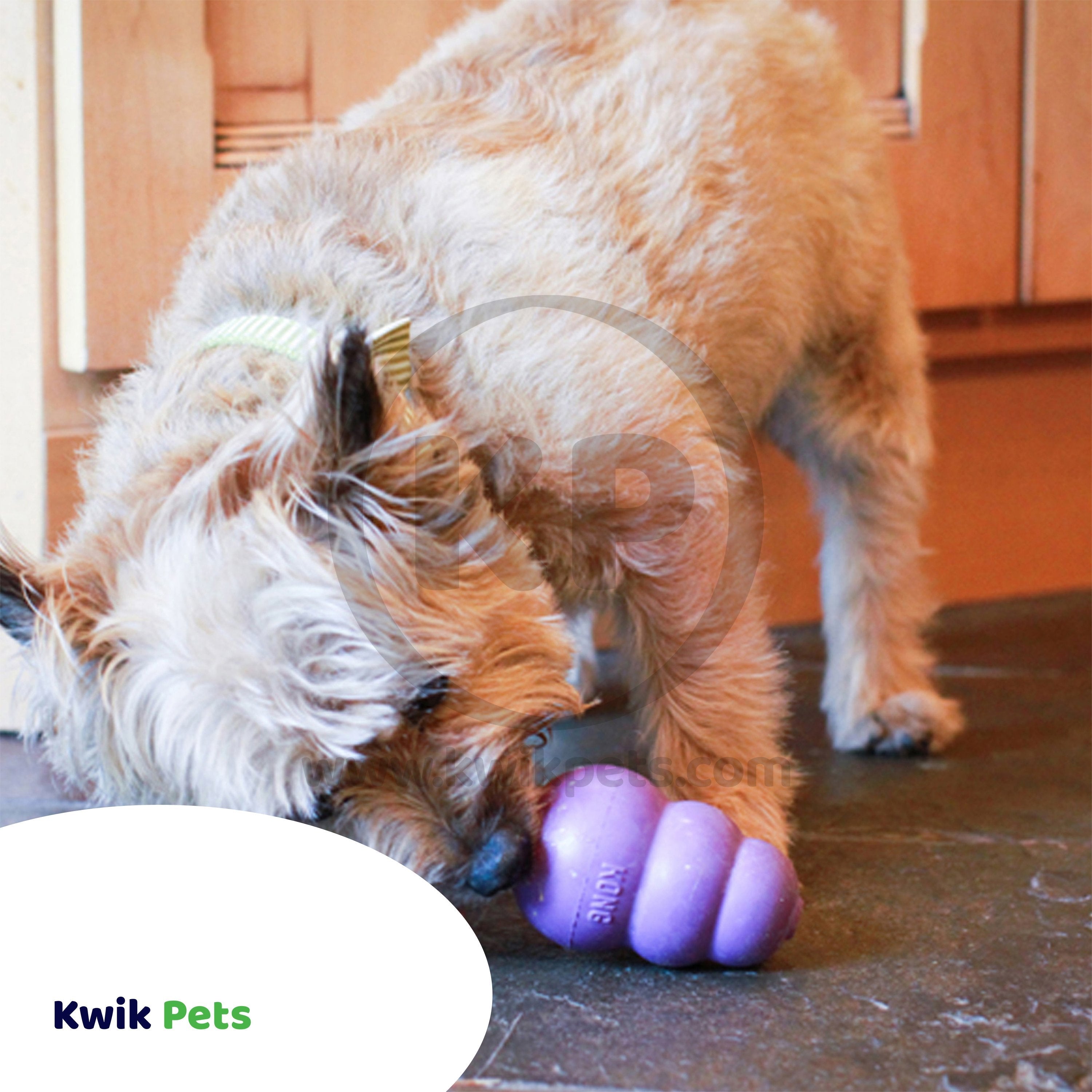 KONG Senior Dog Toy Medium