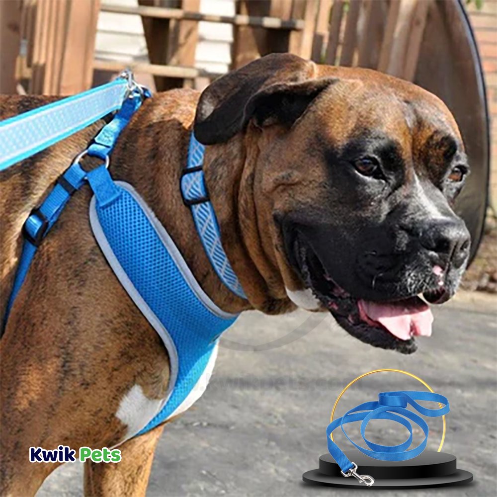 Coastal Single-Ply Nylon Dog Leash Blue 3/8 in X 6 ft