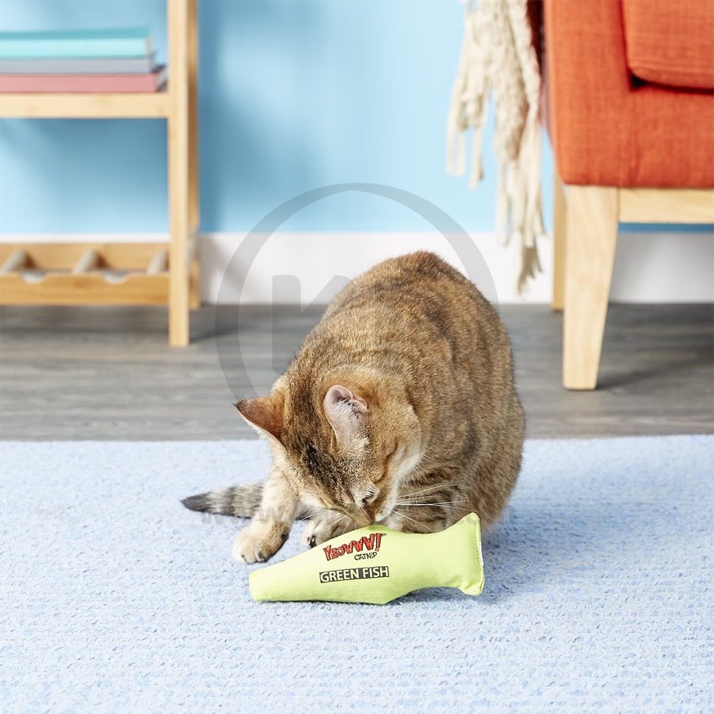 Yeowww! Fish Catnip Cat Toy Green 7-in